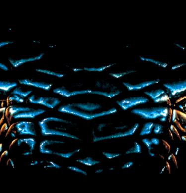 Anaconda (1997) - Hero Image