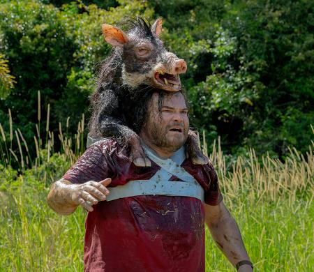 Anaconda - What's New Image large